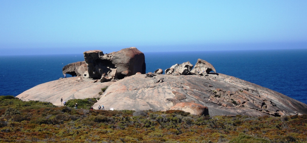 kangaroo insel kangaroo insel