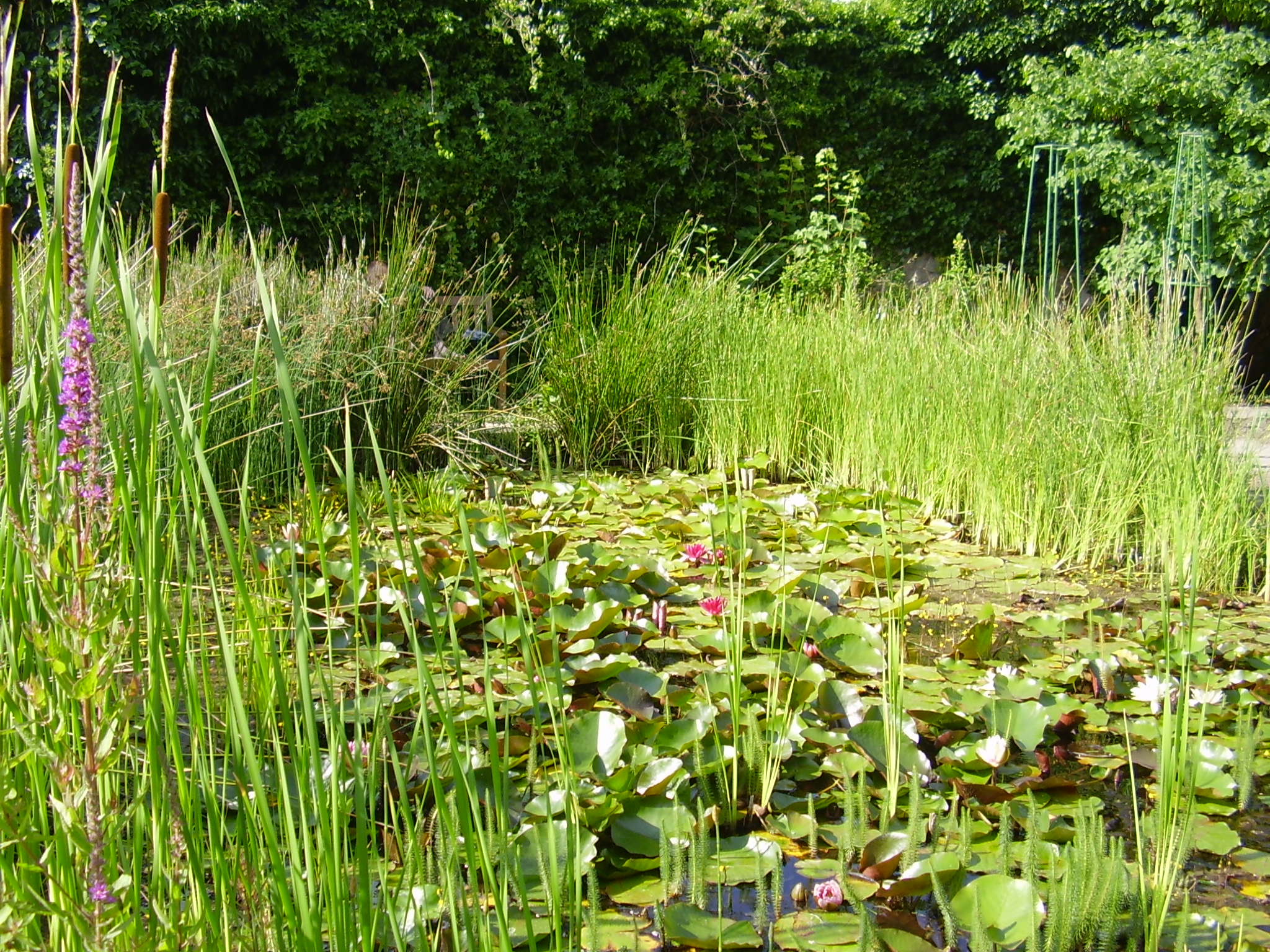 Botanischer Garten Göttingen