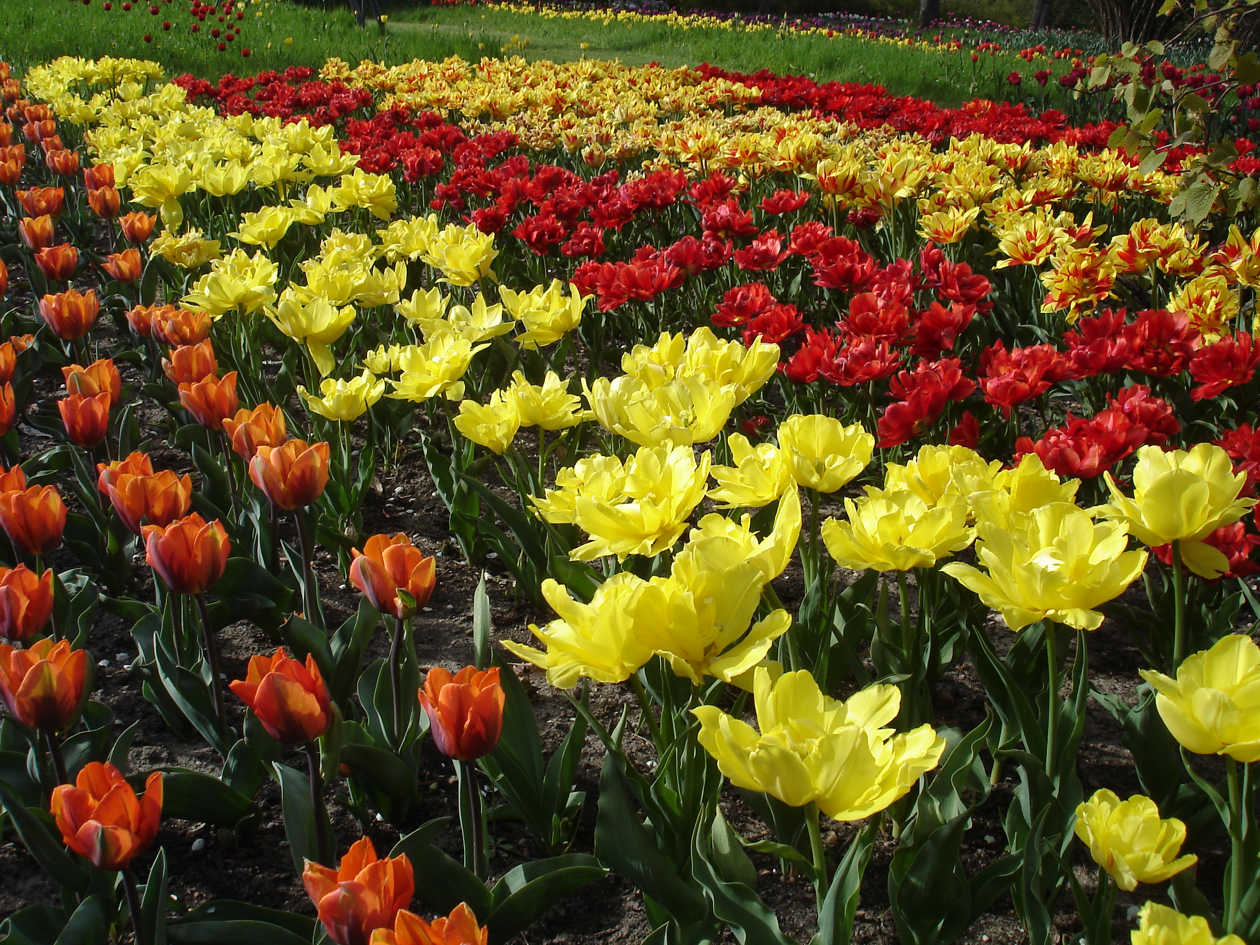 Britzer Garten