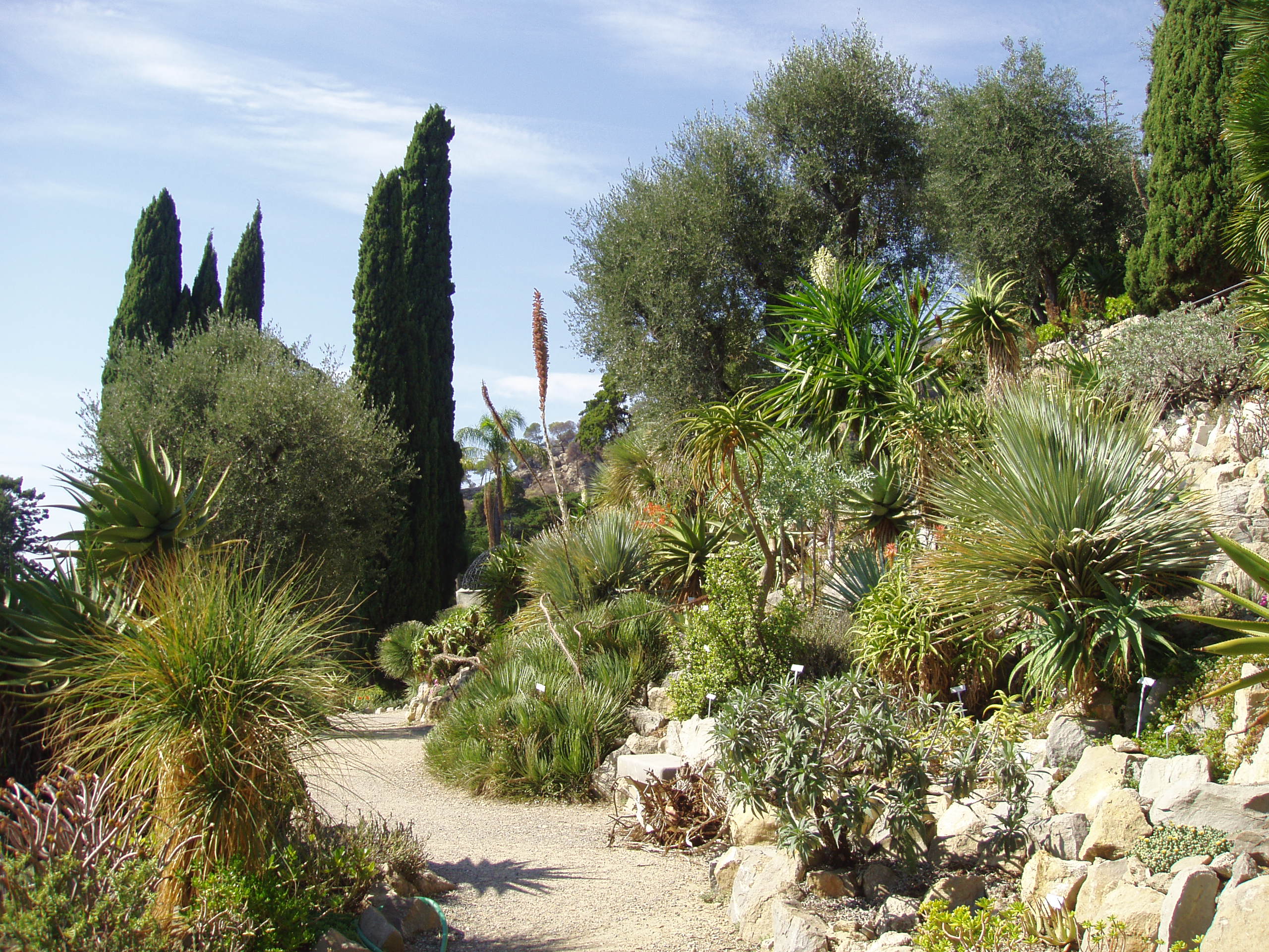 Botanischer Garten Hanbury