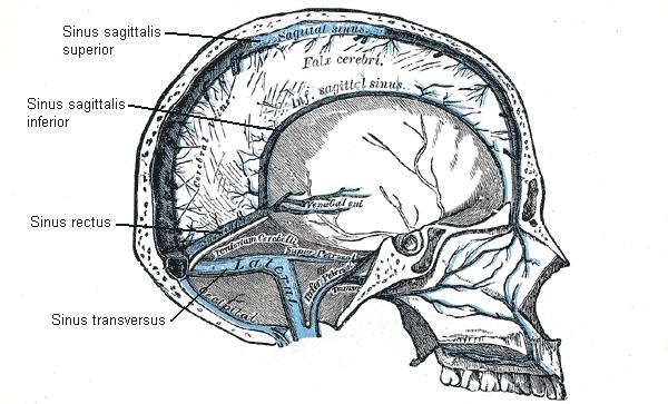 MarhtyuettahtyuiSalas
