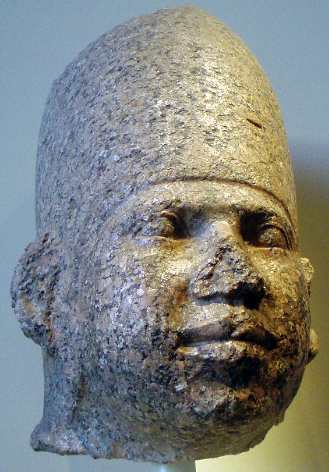 Ancient dna thesis