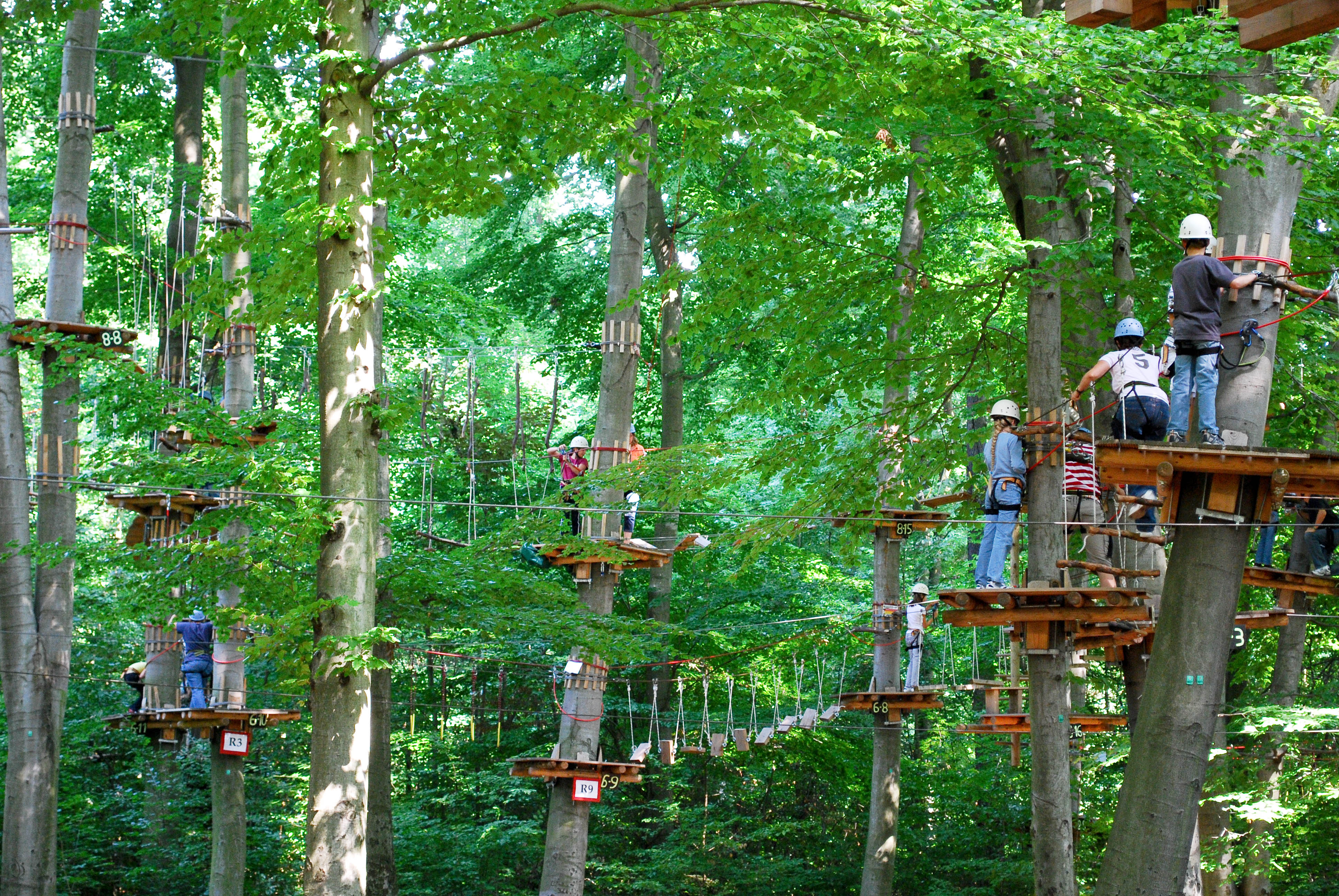 Camping Activity Essays
