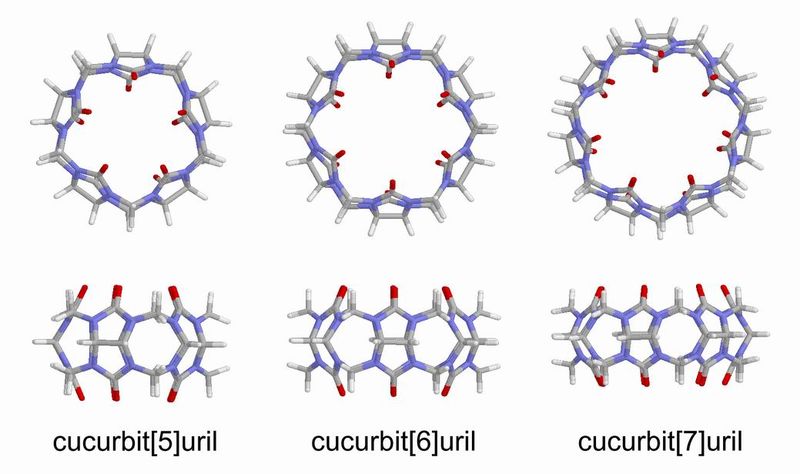 http://de.academic.ru/pictures/dewiki/77/Models_of_cucurbiturils.jpg