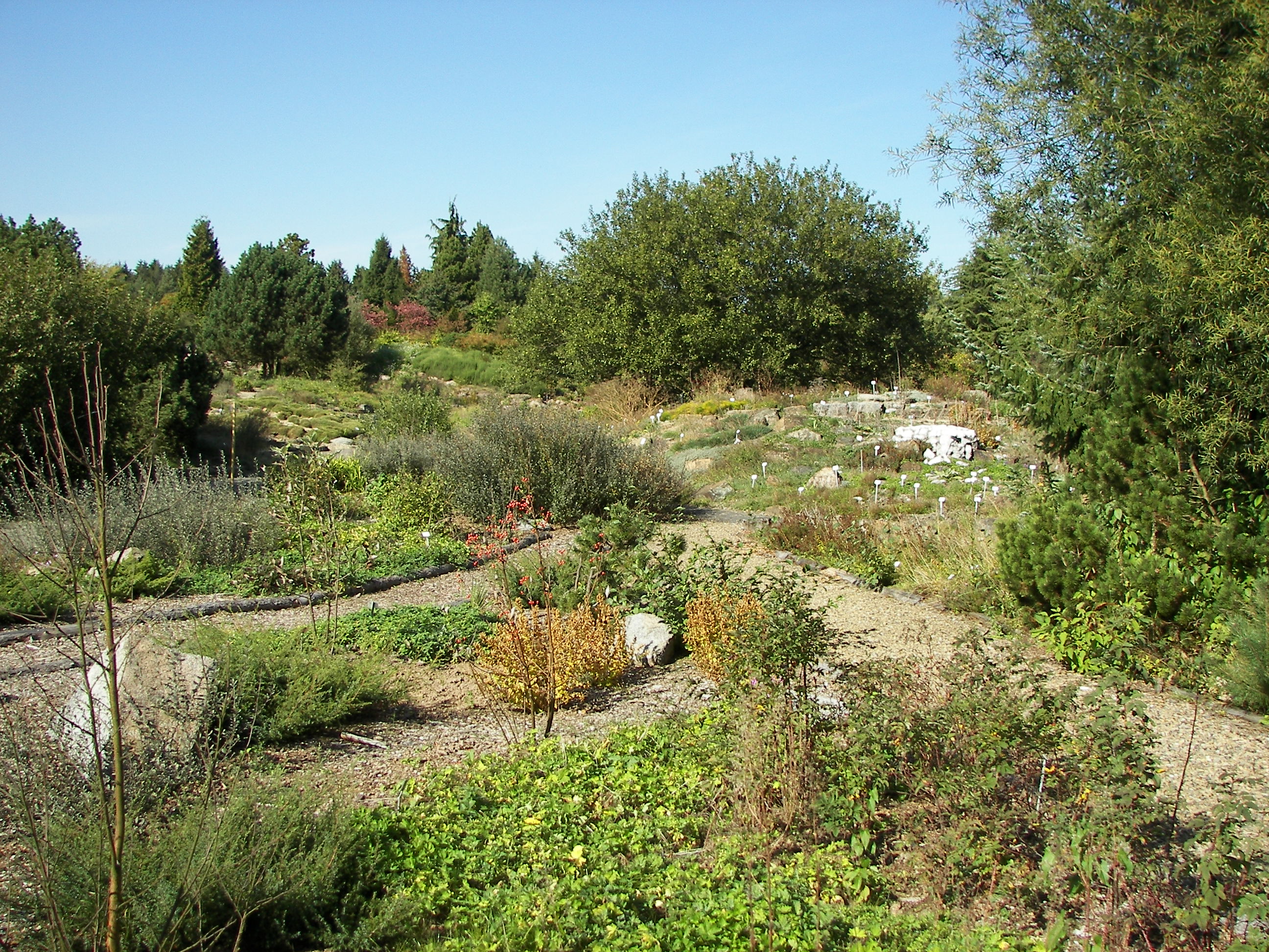 Neuer Botanischer Garten (Marburg)