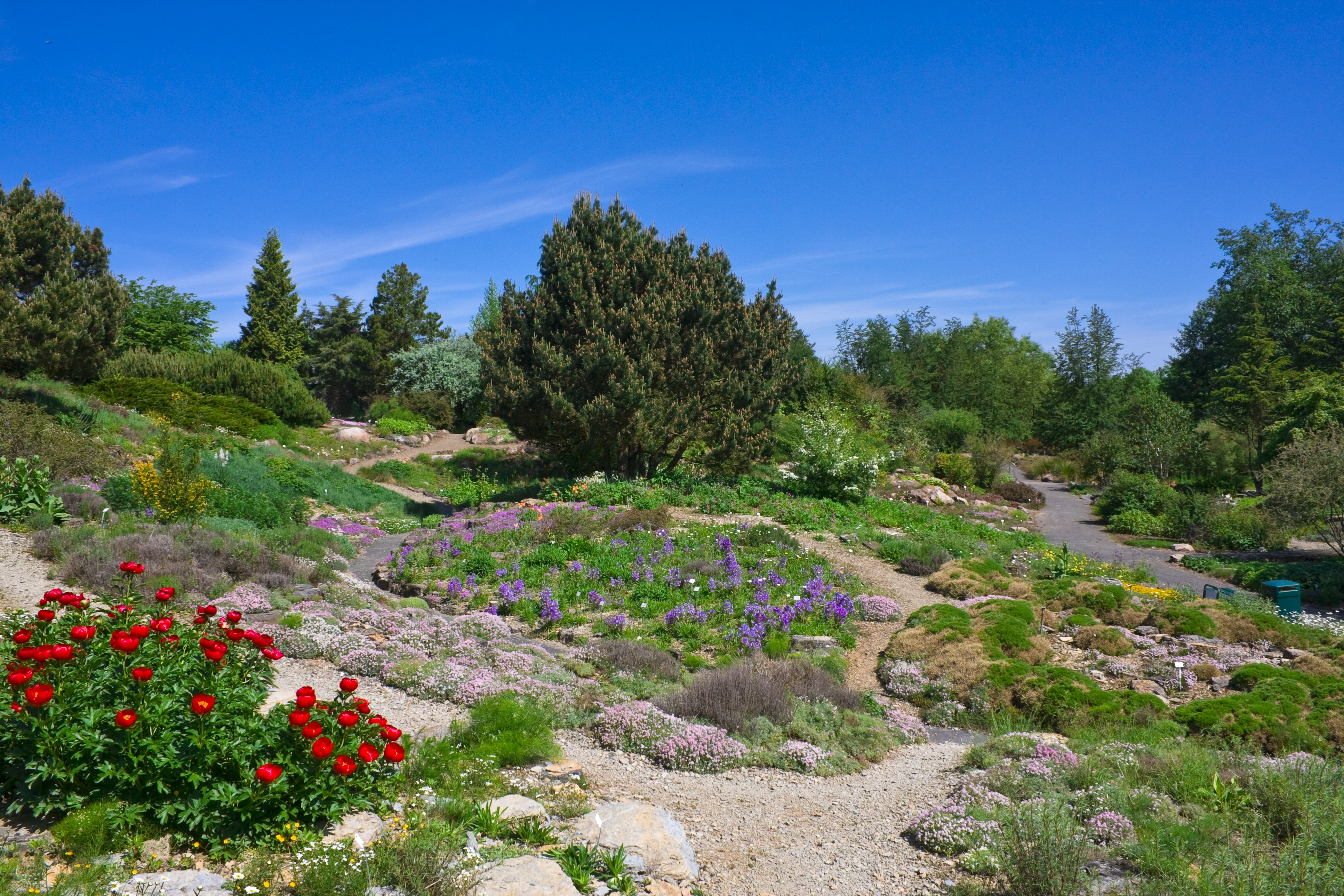 Botanischer Garten (Marburg)