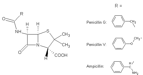 Penicillin_strukturen.png#s-499,263