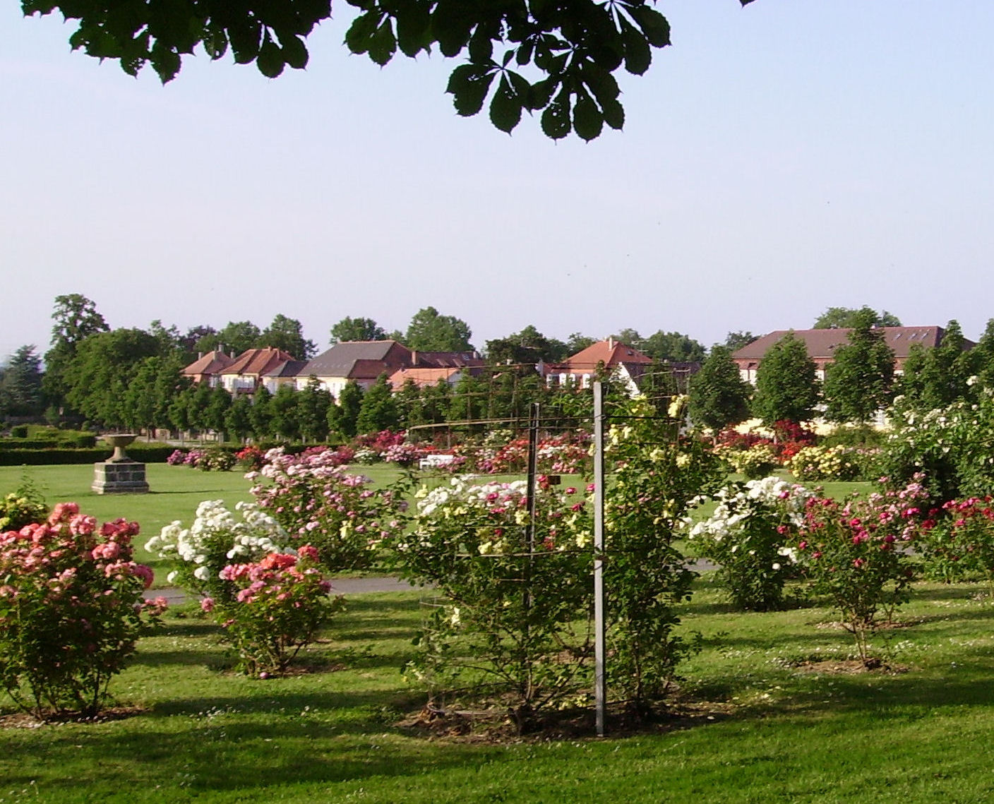 Blühendes Barock