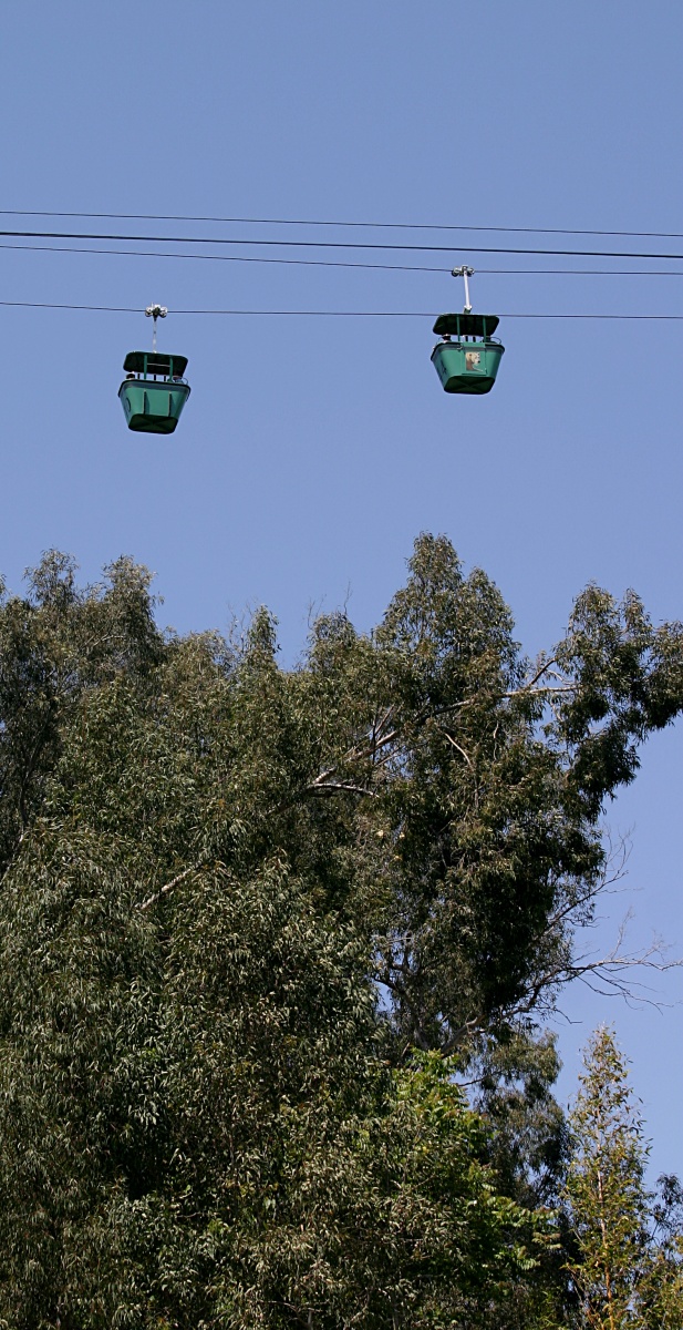 Santa barbara zoo discount coupons