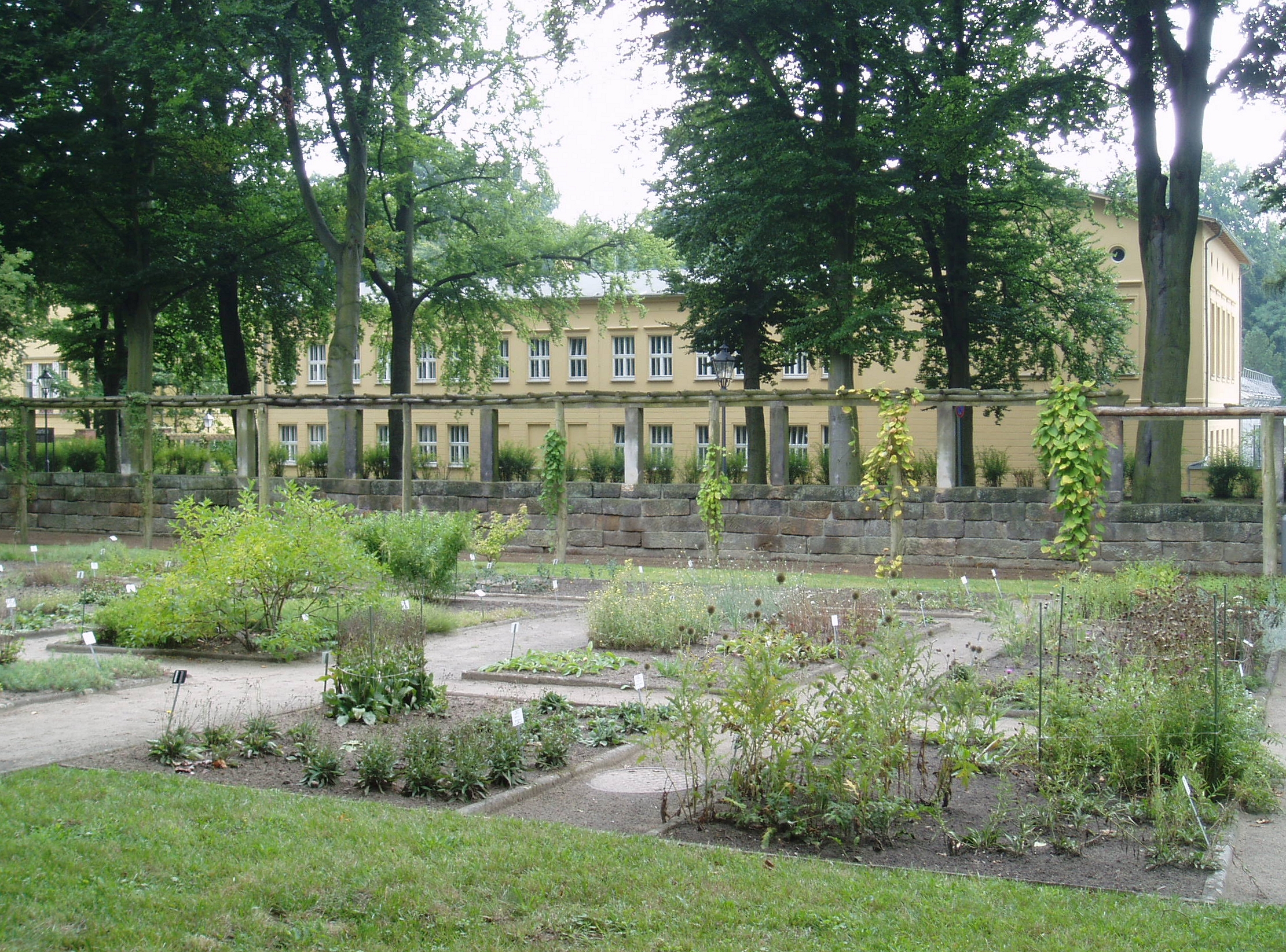 Botanischer Garten Potsdam