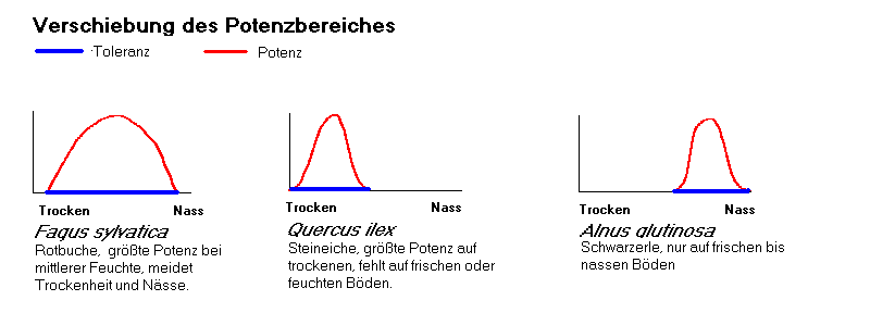 Die Gräser für die Erhöhung der Potenz bei den Männern zu kaufen