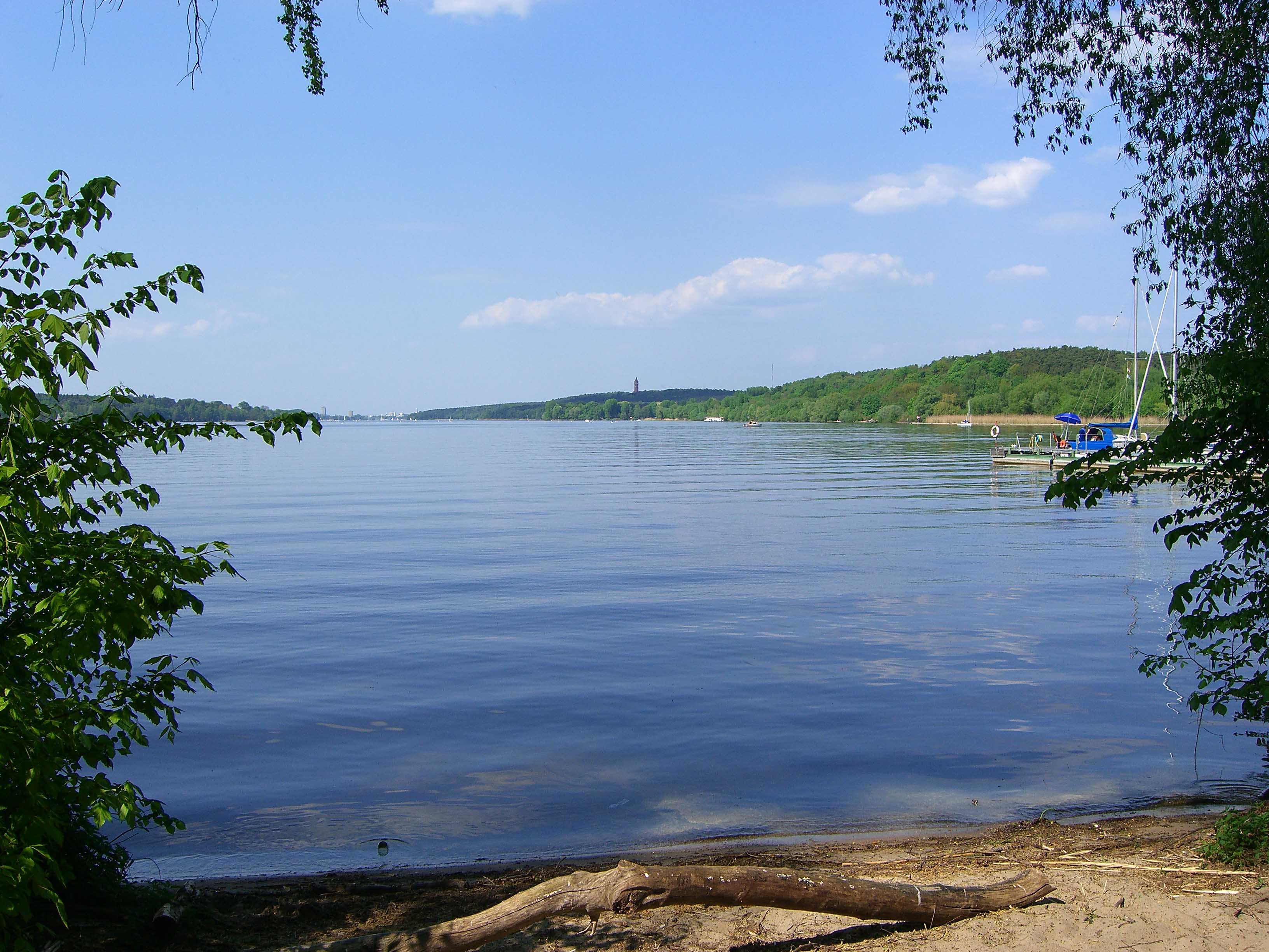 Havel