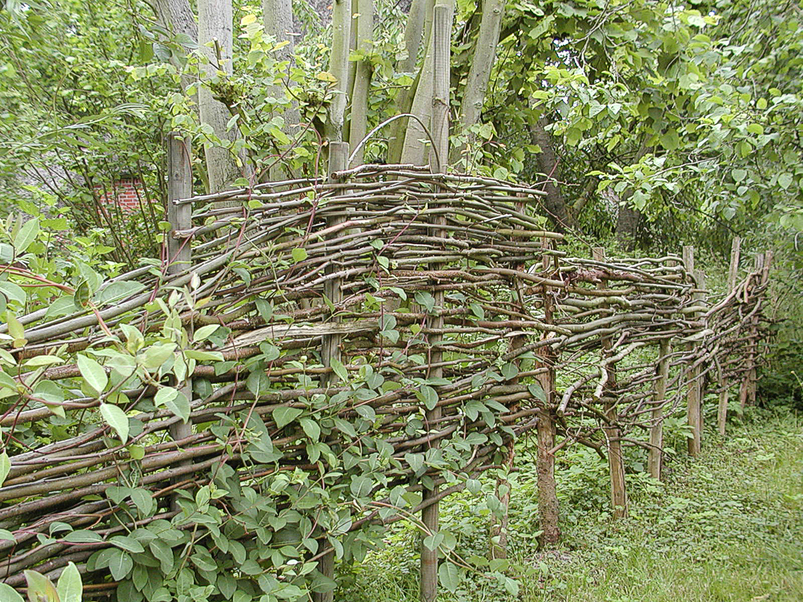 Gartenzaun