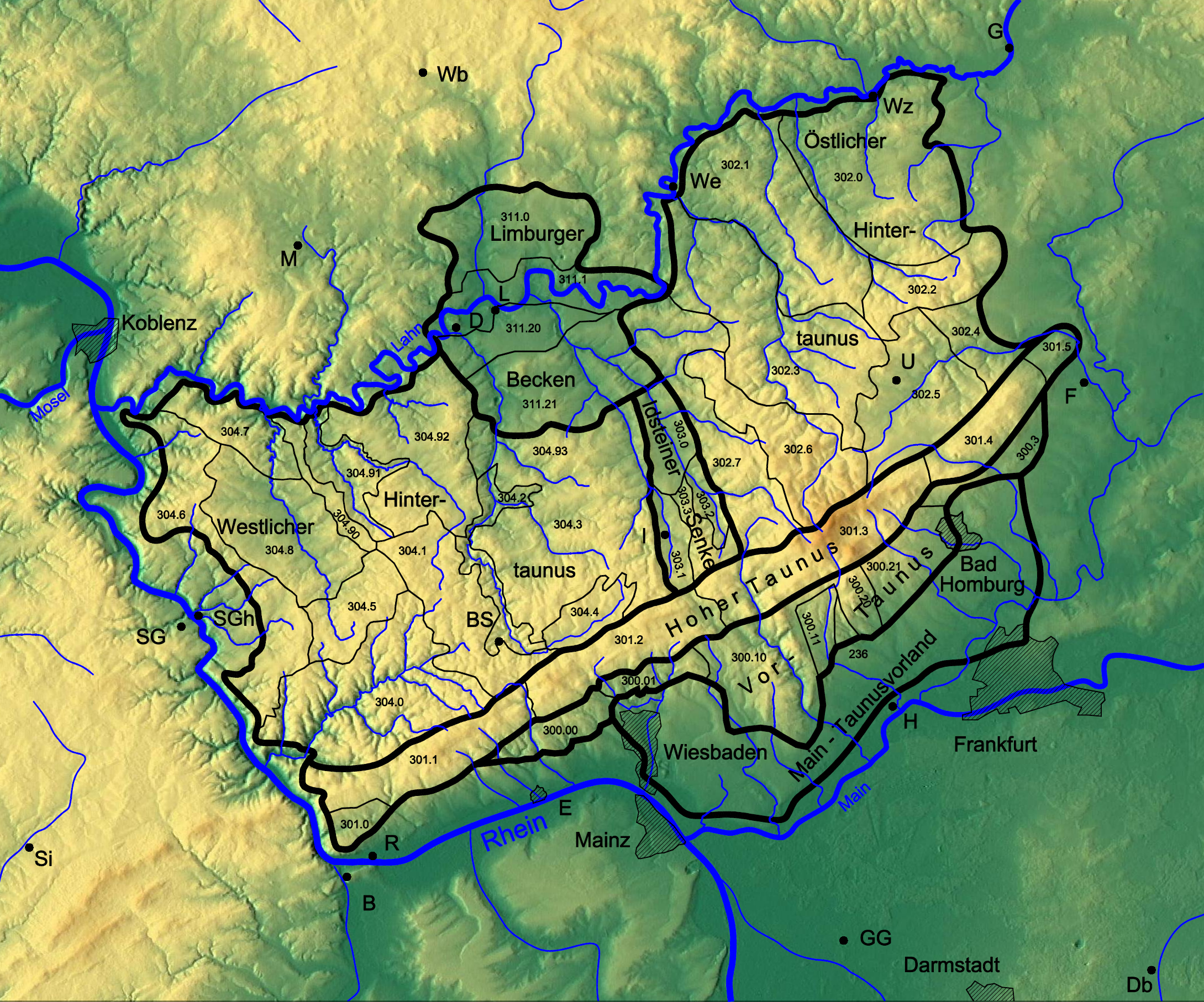 Vortaunus