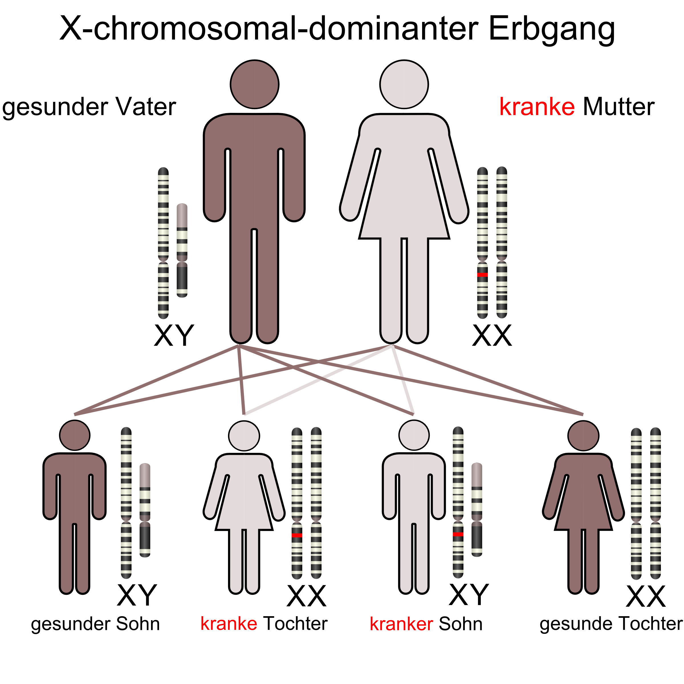 x-chromosomal