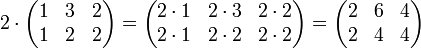 2 \cdot
  \begin{pmatrix}
    1 &amp;amp; 3 &amp;amp; 2 \\
    1 &amp;amp; 2 &amp;amp; 2
  \end{pmatrix}
  =
  \begin{pmatrix}
    2 \cdot1 &amp;amp; 2 \cdot3 &amp;amp; 2 \cdot2 \\
    2 \cdot1 &amp;amp; 2 \cdot2 &amp;amp; 2 \cdot2
  \end{pmatrix}
  =
  \begin{pmatrix}
    2 &amp;amp; 6 &amp;amp; 4 \\
    2 &amp;amp; 4 &amp;amp; 4
  \end{pmatrix}
