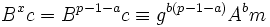 B^xc = B^{p-1-a}c \equiv g^{b(p-1-a)}A^bm