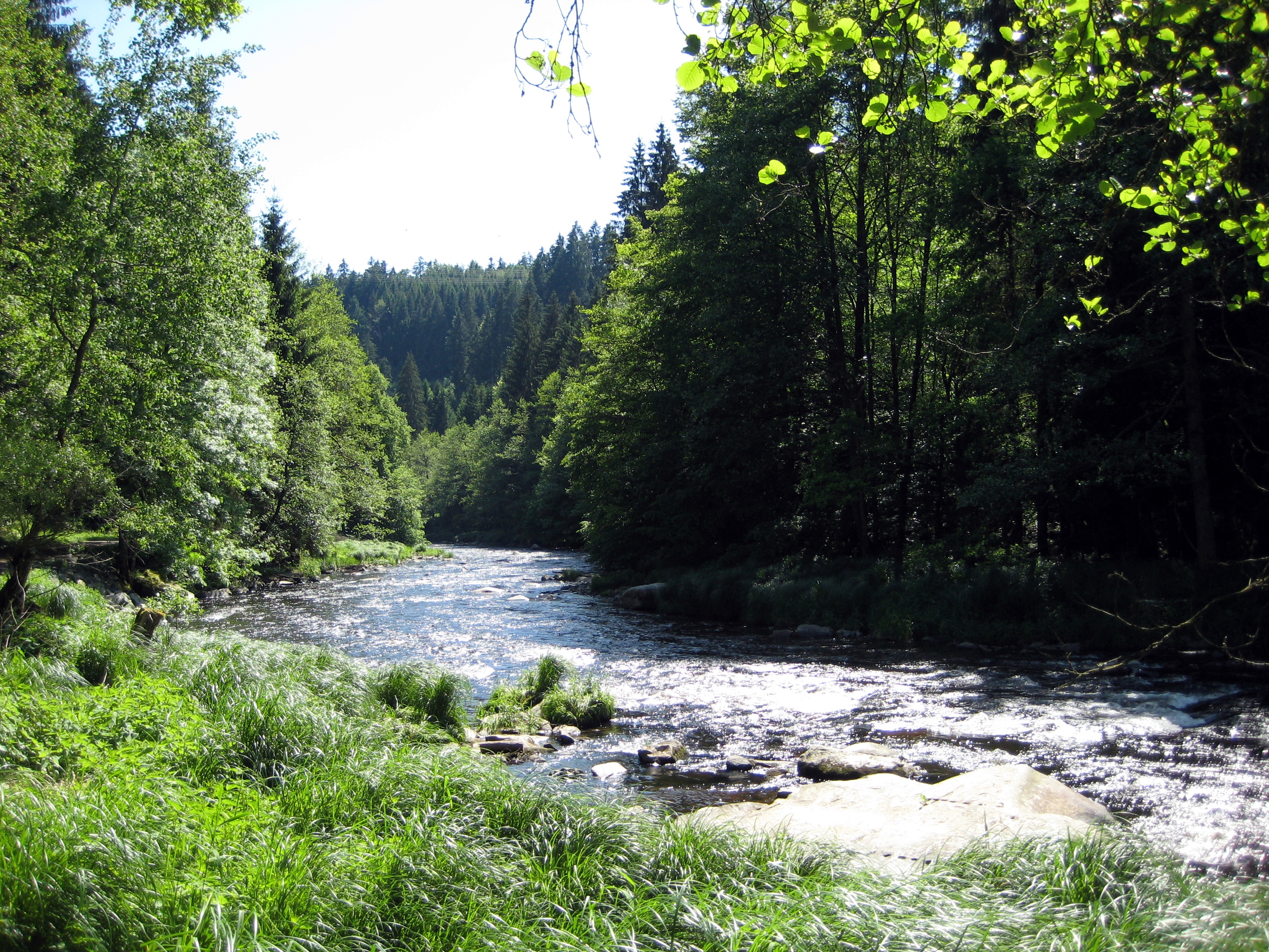 Ilz (Fluss)