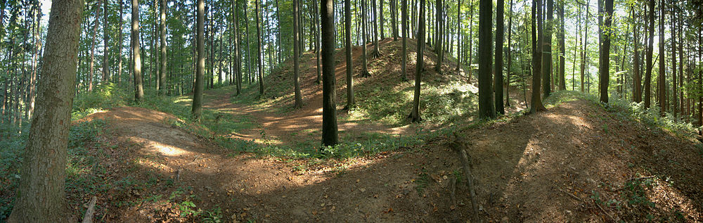 Panorama des Burghügels und des ihn umgebenden Ringwalles aus nördlicher Richtung