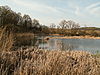 Žebětínský rybník, pohled z pravého břehu na část poblíž vtoku.JPG