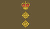 Badges Colonel 200x115.jpg