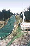 Hinterzarten Adlerschanze.jpg