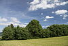 Natural monument Sterbu louka in 2011 (3).JPG