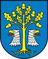 Wappen der Gmina Czarna Dąbrówka