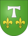 Wappen von Piazzogna