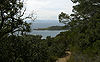 Port-cros-nature 2.jpg