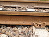 Rail K 1986 VII S 49.jpg