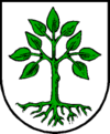 Wappen von Großarl