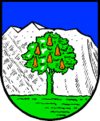 Wappen von Wals-Siezenheim