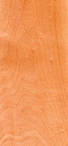 Wood Acer platanoides.jpg