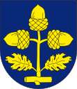 Wappen von Bukovinka