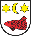 Wappen von Kowalewo Pomorskie