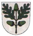 Wappen von Dubá