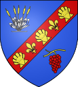 Wappen von Cléry-Saint-André