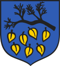 Wappen von Łaziska Górne