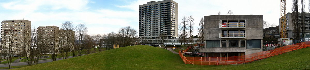 Spitalkomplex (von links nach rechts): Personalhäuser, Flachbauten Kliniken/Schulen, Haupttrakt/Bettenhochhaus, Zentrum Inselhof, Maternité (März 2008)