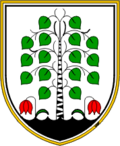 Wappen von Brezovica