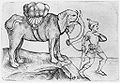 Elephant (L. Schongauer).jpg