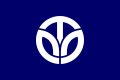 Flagge der Präfektur Fukui