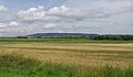 Blick von Neuses an der Regnitz nach Norden zur Friesener Warte