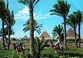 Giza1960s.jpg