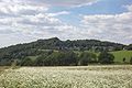 Hummelsberg, Bergkuppe mit einstigem Ringwall durch Basaltabbau weitgehend abgetragen