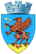 Wappen von Abrud