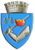 Wappen von Târgu Mureș
