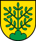Wappen von Oberbuchsiten