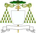 PatriarchNonCardinal PioM.svg